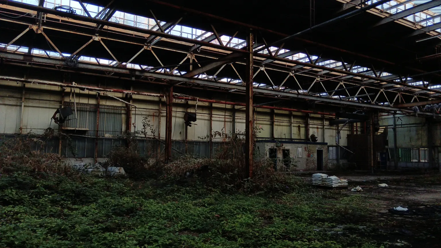 main image