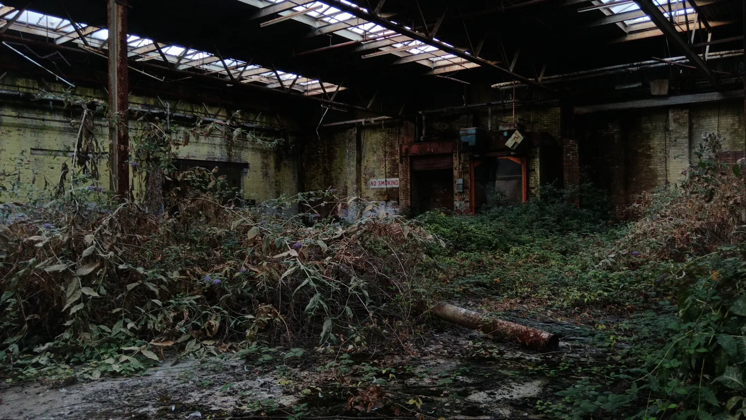 main image