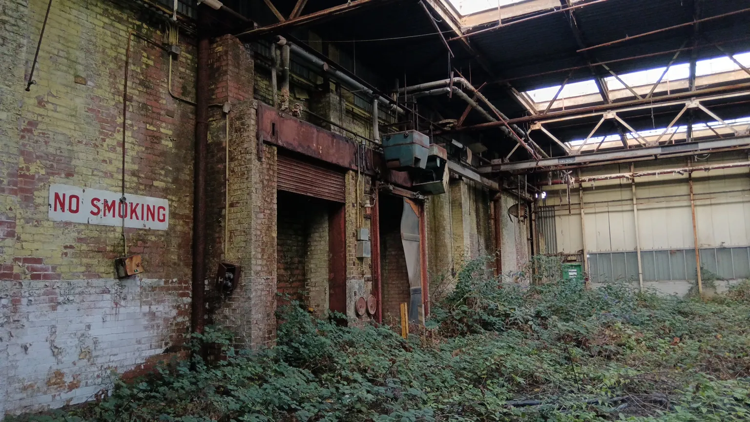 main image