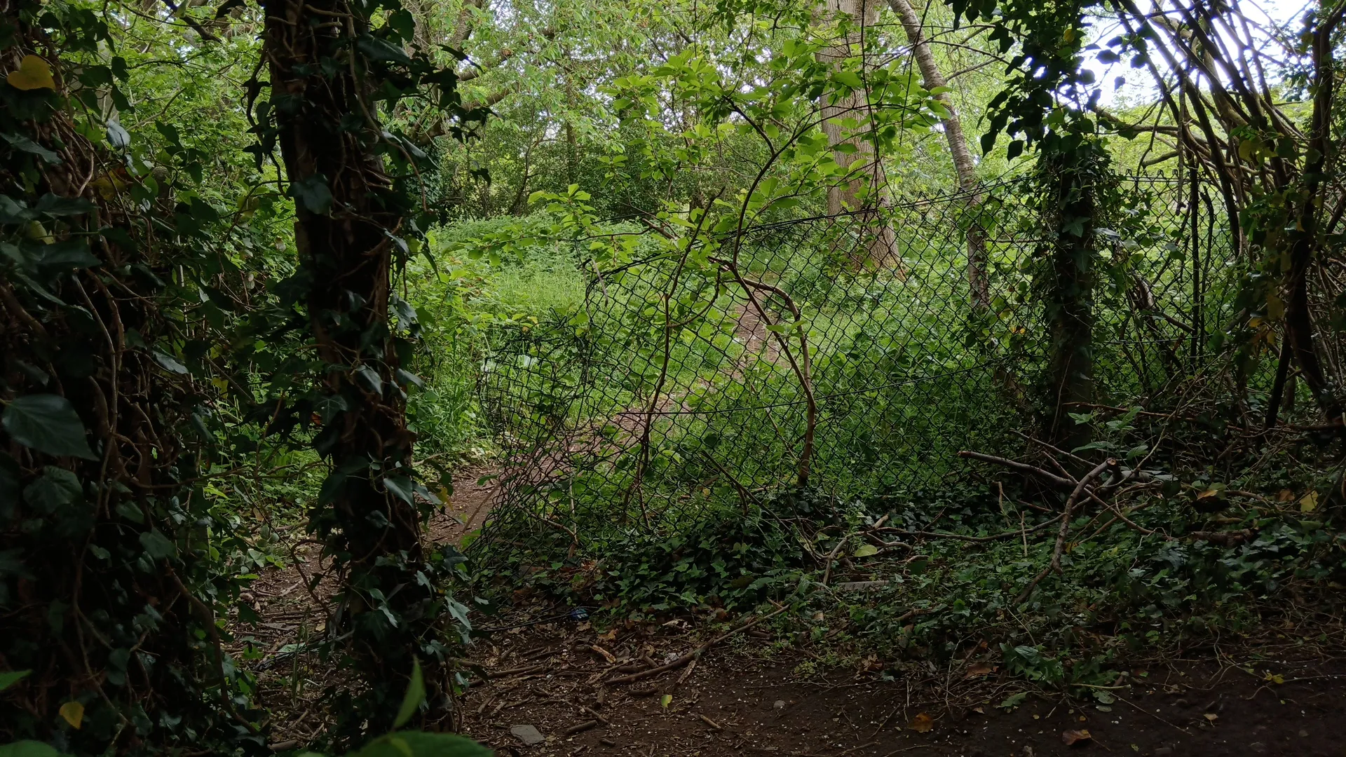 main image
