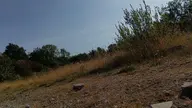 camera:phone orientation:landscape photographer:lunaticker // 1920x1080 // 407KB