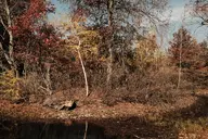 camera:fujifilm_x100 orientation:landscape // 1728x1152 // 768KB