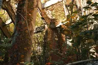 camera:fujifilm_x100 orientation:landscape // 1728x1152 // 516KB