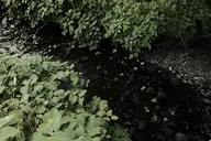 camera:fujifilm_x100 exterior forest orientation:landscape photographer:deaddeaddeath plant stone tagme water // 1728x1152 // 377KB