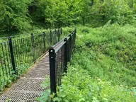 bridge camera:phone exterior forest nature orientation:landscape path photographer:lunaticker // 1380x1035 // 597KB