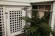 building bush camera:fujifilm_x100 exterior fence gate house orientation:landscape photographer:deaddeaddeath plant window // 1728x1152 // 239KB