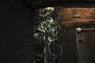 camera:fujifilm_x100 orientation:landscape // 1728x1152 // 177KB