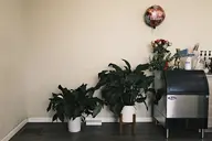 camera:fujifilm_x100 orientation:landscape // 1728x1152 // 168KB