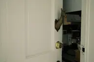 camera:fujifilm_x100 doorknob doorway giraffe house interior kitchen orientation:landscape ornate photographer:deaddeaddeath // 1728x1152 // 118KB