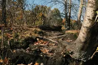 camera:fujifilm_x100 orientation:landscape // 1728x1152 // 639KB