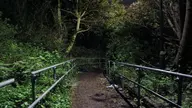 camera:phone orientation:landscape photographer:lunaticker // 1920x1080 // 280KB