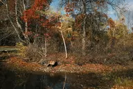 camera:fujifilm_x100 orientation:landscape // 1728x1152 // 721KB