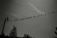 camera:fujifilm_x100 orientation:landscape photographer:deaddeaddeath // 2705x1803 // 457KB