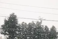 camerafujifilm orientation:landscape photographer:deaddeaddeath // 1728x1152 // 384KB