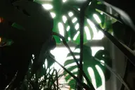 camera:fujifilm_x100 orientation:landscape // 1728x1152 // 148KB