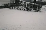 camera:fujifilm_x100 orientation:landscape // 1728x1152 // 286KB