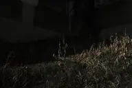 camerafujifilm orientation:landscape photographer:deaddeaddeath // 1728x1152 // 185KB