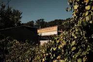 abandoned billboard camera:fujifilm_x100 exterior metal nature orientation:landscape photographer:deaddeaddeath plant rust // 1728x1152 // 352KB