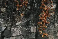 camerafujifilm orientation:landscape photographer:deaddeaddeath // 1728x1152 // 297KB