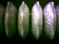 camera:digital_harinezumi orientation:landscape photographer:deaddeaddeath radiator // 1600x1200 // 61KB