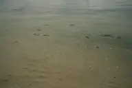 camerafujifilm orientation:landscape photographer:deaddeaddeath // 1728x1152 // 181KB