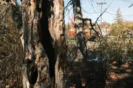 camera:fujifilm_x100 orientation:landscape // 1728x1152 // 454KB