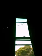 camera:digital_harinezumi interior orientation:portrait photographer:deaddeaddeath plant tree window // 1200x1600 // 37KB