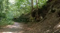 camera:phone orientation:landscape photographer:lunaticker // 1920x1080 // 668KB