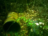 camera:digital_harinezumi drum exterior forest leaf metal nature orientation:landscape photographer:deaddeaddeath plant rock rust weathered // 1600x1200 // 175KB