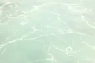 camera:fujifilm_x100 orientation:landscape photographer:deaddeaddeath // 1728x1152 // 53KB