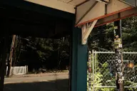 building bush camera:fujifilm_x100 exterior fence graffiti metal orientation:landscape photographer:deaddeaddeath plant reflection sidewalk sticker utility_pole window // 1728x1152 // 327KB