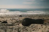 camerafujifilm orientation:landscape photographer:deaddeaddeath // 1728x1152 // 320KB