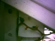 camera:digital_harinezumi exterior ivy orientation:landscape photographer:deaddeaddeath plant wood // 1600x1200 // 71KB