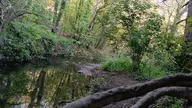 cameraphone orientationlandscape photographerlunaticker // 1920x1080 // 569KB