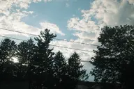 camera:fujifilm_x100 exterior nature orientation:landscape photographer:deaddeaddeath plant power_line sky tree // 1728x1152 // 304KB