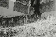 camerafujifilm orientation:landscape photographer:deaddeaddeath // 1728x1152 // 526KB