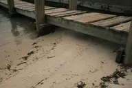 camerafujifilm orientation:landscape photographer:deaddeaddeath // 1728x1152 // 303KB