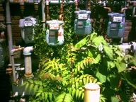 brick building camera:digital_harinezumi electric_meter exterior orientation:landscape photographer:deaddeaddeath plant // 1600x1200 // 222KB