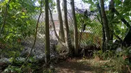 camera:phone orientation:landscape photographer:lunaticker // 1920x1080 // 574KB