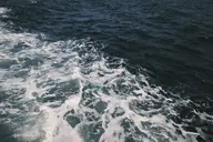 camera:fujifilm_x100 orientation:landscape photographer:deaddeaddeath // 1728x1152 // 299KB