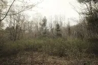 camera:fujifilm_x100 orientation:landscape photographer:deaddeaddeath // 1932x1288 // 638KB