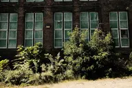 brick building bush camera:fujifilm_x100 exterior orientation:landscape photographer:deaddeaddeath plant window // 1728x1152 // 512KB