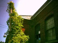 abandoned building camera:digital_harinezumi exterior ivy mil orientation:landscape overgrown photographer:deaddeaddeath plant ruins utility_pole window // 1600x1200 // 321KB