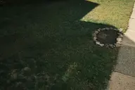 camera:fujifilm_x100 dirt exterior grass ground orientation:landscape photographer:deaddeaddeath residential sidewalk stone yard // 1728x1152 // 393KB