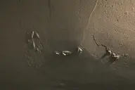 camera:fujifilm_x100 orientation:landscape // 1728x1152 // 329KB