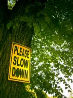 camera:digital_harinezumi exterior orientation:portrait photographer:deaddeaddeath plant sign tree // 1200x1600 // 237KB