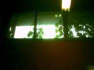 camera:digital_harinezumi dirty interior orientation:landscape photographer:deaddeaddeath plant window // 1600x1200 // 51KB