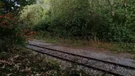 camera:phone orientation:landscape photographer:lunaticker // 1536x864 // 426KB