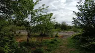 camera:phone orientation:landscape photographer:lunaticker // 1920x1080 // 446KB