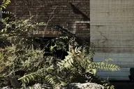 brick camera:fujifilm_x100 dirty exterior industrial orientation:landscape photographer:deaddeaddeath plant siding // 1728x1152 // 514KB